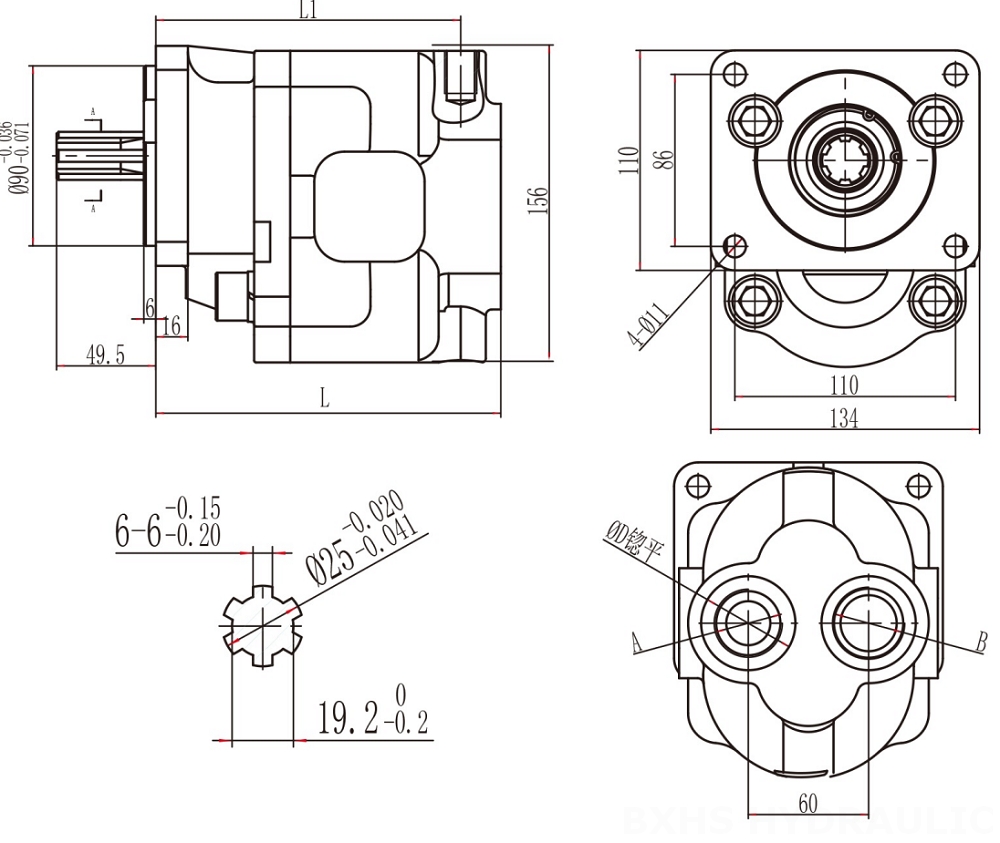 CBHS-F550 50 cc/putaran Pompa Roda Gigi Hidrolik drawing image