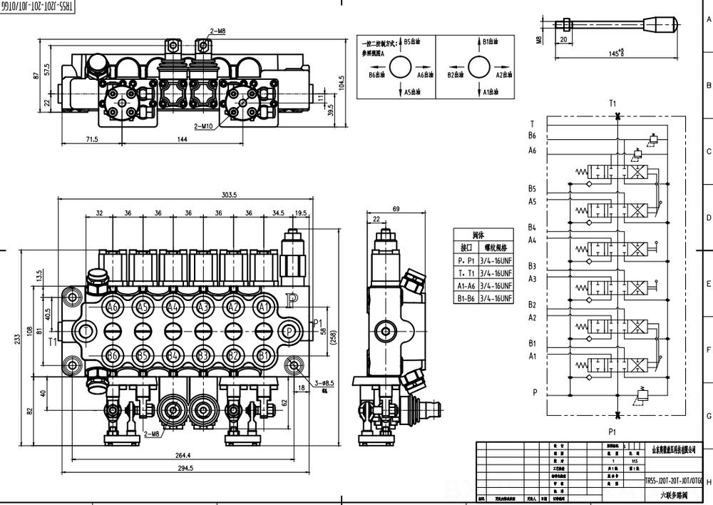 TR55 Manual dan Joystick 6 Spul Kran Arah Monoblok drawing image