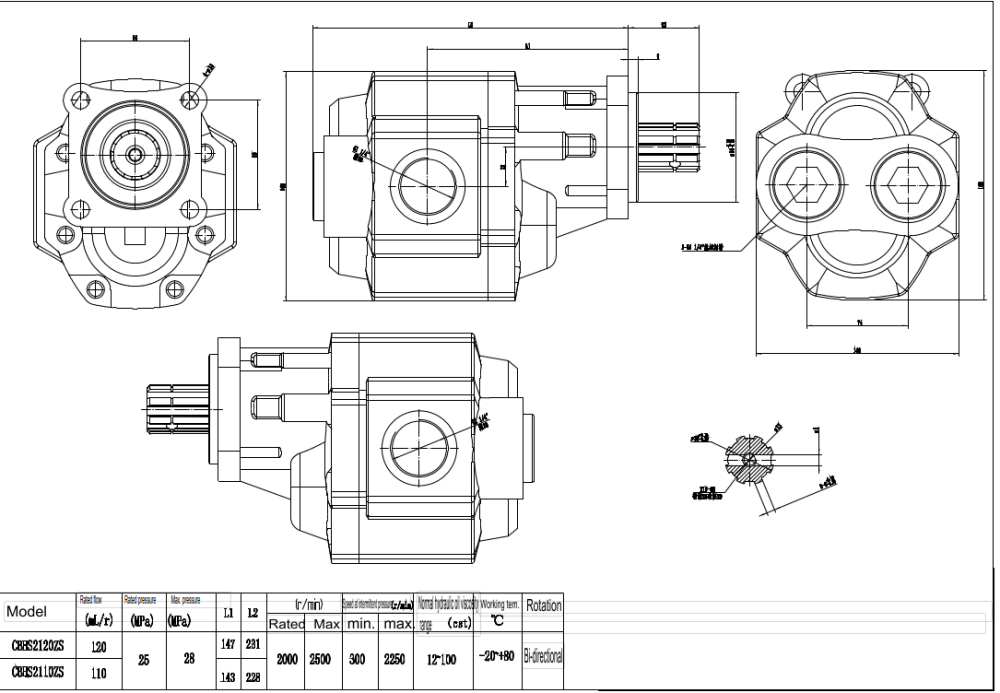 CBHST1-ISO-110 Perpindahan per Putaran Pompa Roda Gigi Hidrolik drawing image