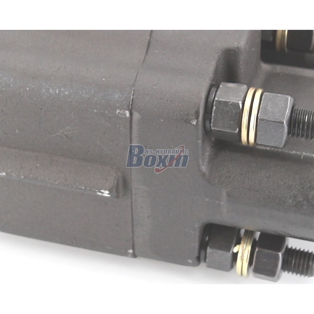 Standard C102-LMS-25 100 cc/rev Hydraulic Gear Pump Supply detail image