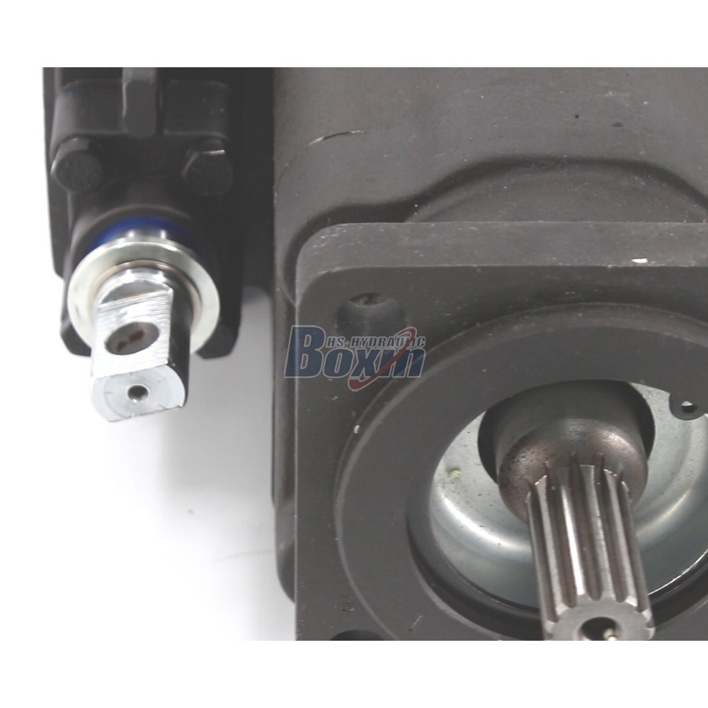 Standard C102-LMS-25 100 cc/rev Hydraulic Gear Pump Supply detail image