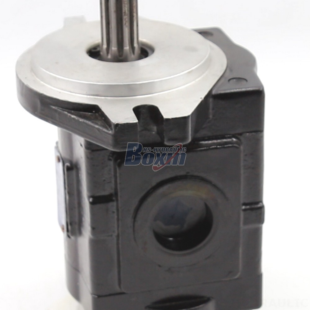 Private Label & OEM Manufacturing: 20 cc/rev Hydraulic Gear Pumps for Your Brand detail image