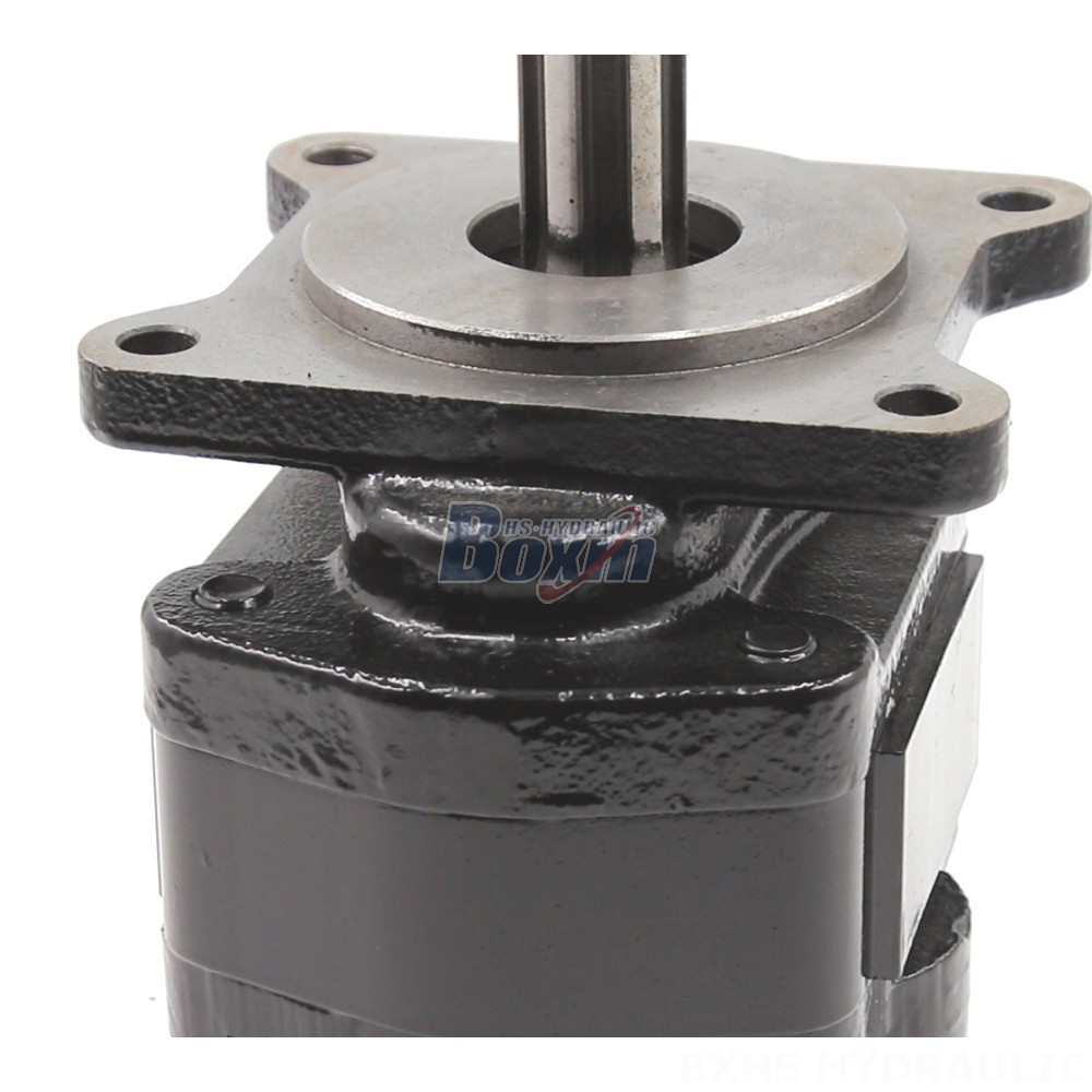20 cc/rev Hydraulic Gear Pump - High Performance & Durable detail image