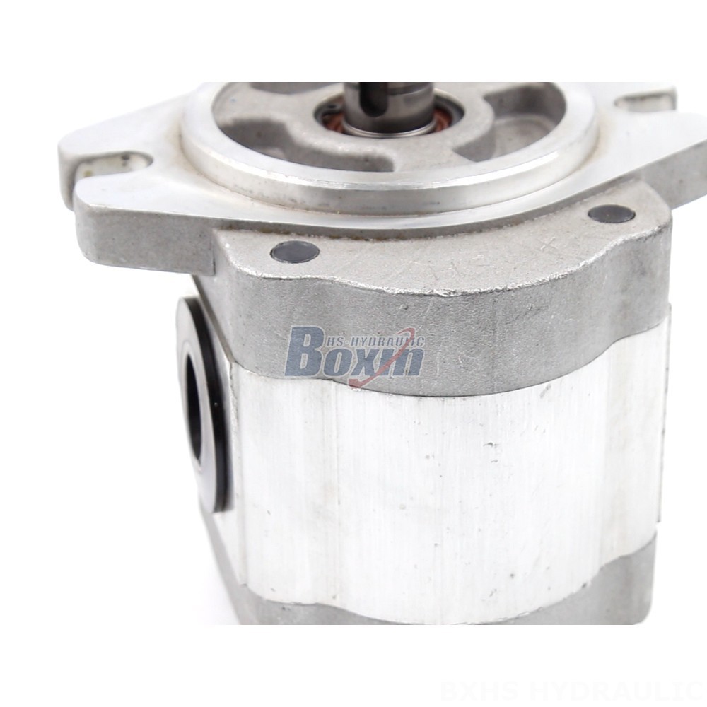 Industrial 6 cc/rev Gear Pump | Reliable & Efficient detail image