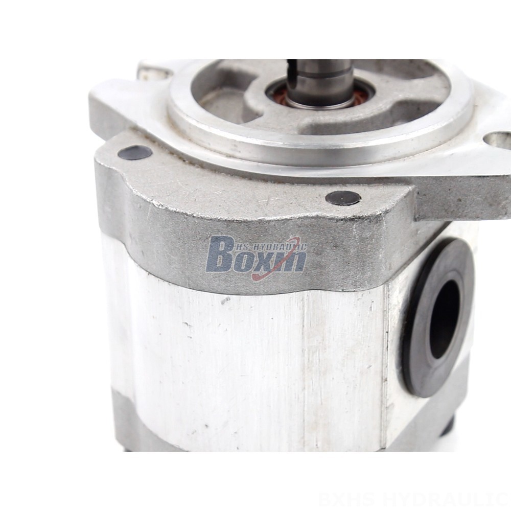 Direct from Manufacturer: 6 cc/rev Hydraulic Gear Pump for Industrial Applications detail image