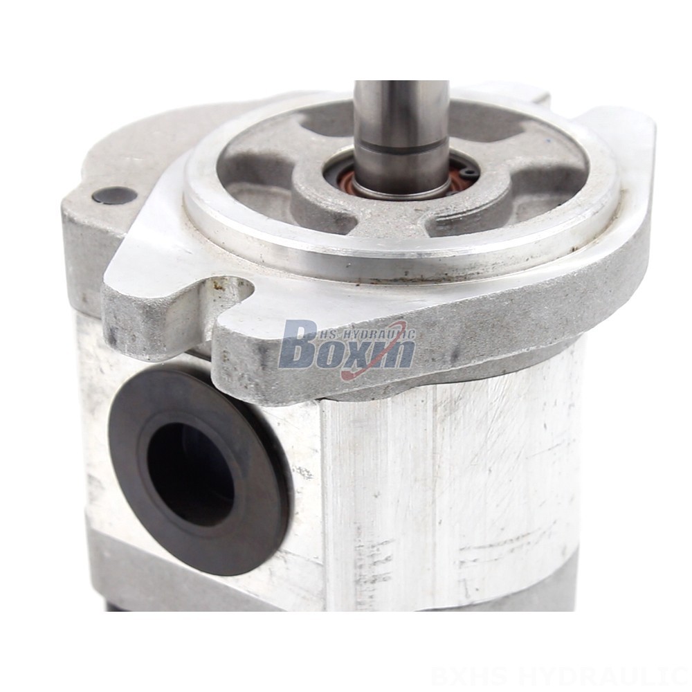 Direct from Manufacturer: 6 cc/rev Hydraulic Gear Pump for Industrial Applications detail image