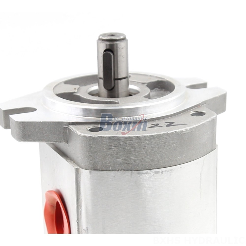 Manufacturer of CBHS-FL304 Hydraulic Gear Pumps: Wholesale & Customization Available detail image