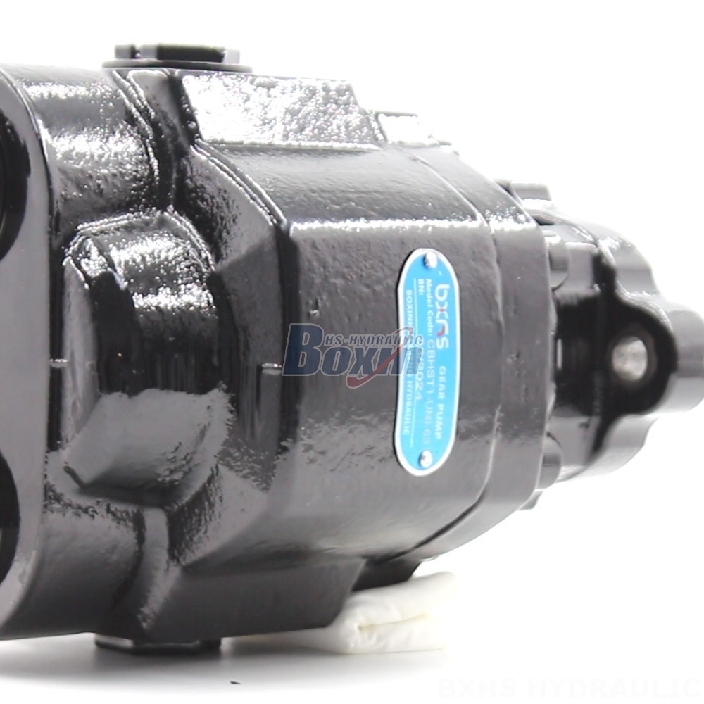 Manufacturer of CBHST1-UNI-63 Pumps: Wholesale & Customization Available detail image