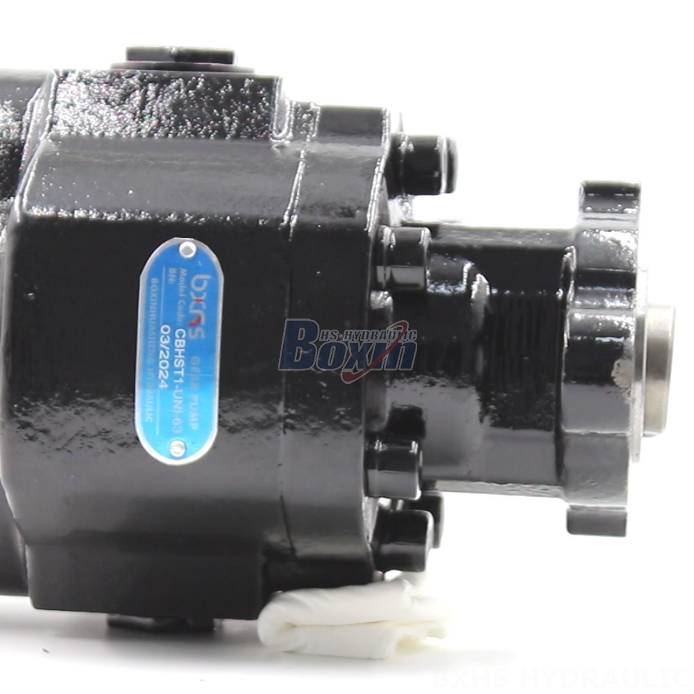 Manufacturer of CBHST1-UNI-63 Pumps: Wholesale & Customization Available detail image