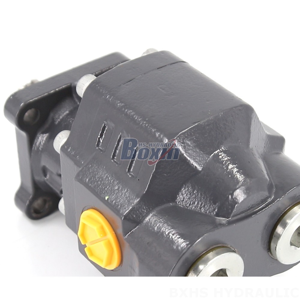 Durable 22 MPa (3190 psi) Hydraulic Gear Pump - Model CBHW-ISO-80-H detail image