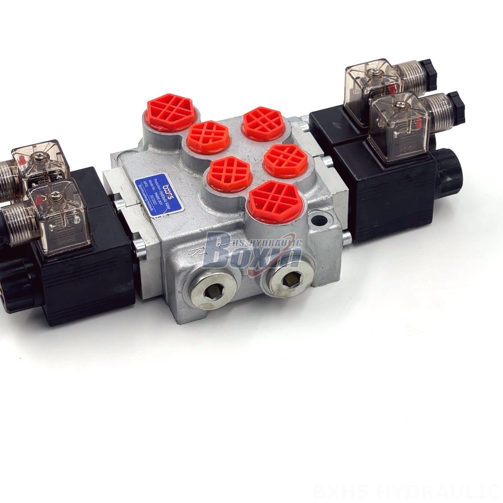 Premium Hydraulic Components: P40-DKL Valve from a Trusted Manufacturer detail image