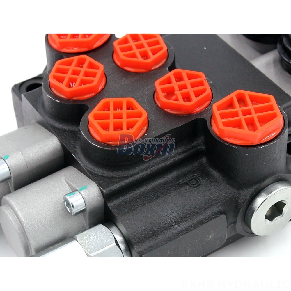 P40-G12-G38-OT-QTW Monoblock Valve Customization detail image