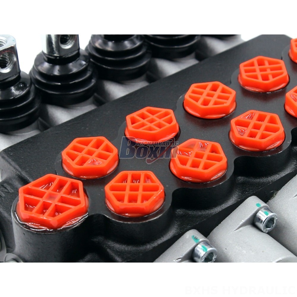 P40-G12-G38 Monoblock Directional Valve | Private Label & OEM Manufacturing detail image