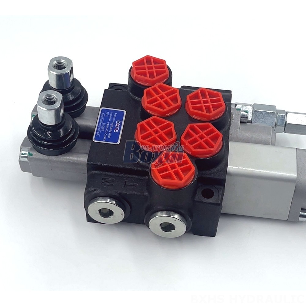 Customized Hydraulic Control: OEM & ODM Expertise for P40A Valves detail image