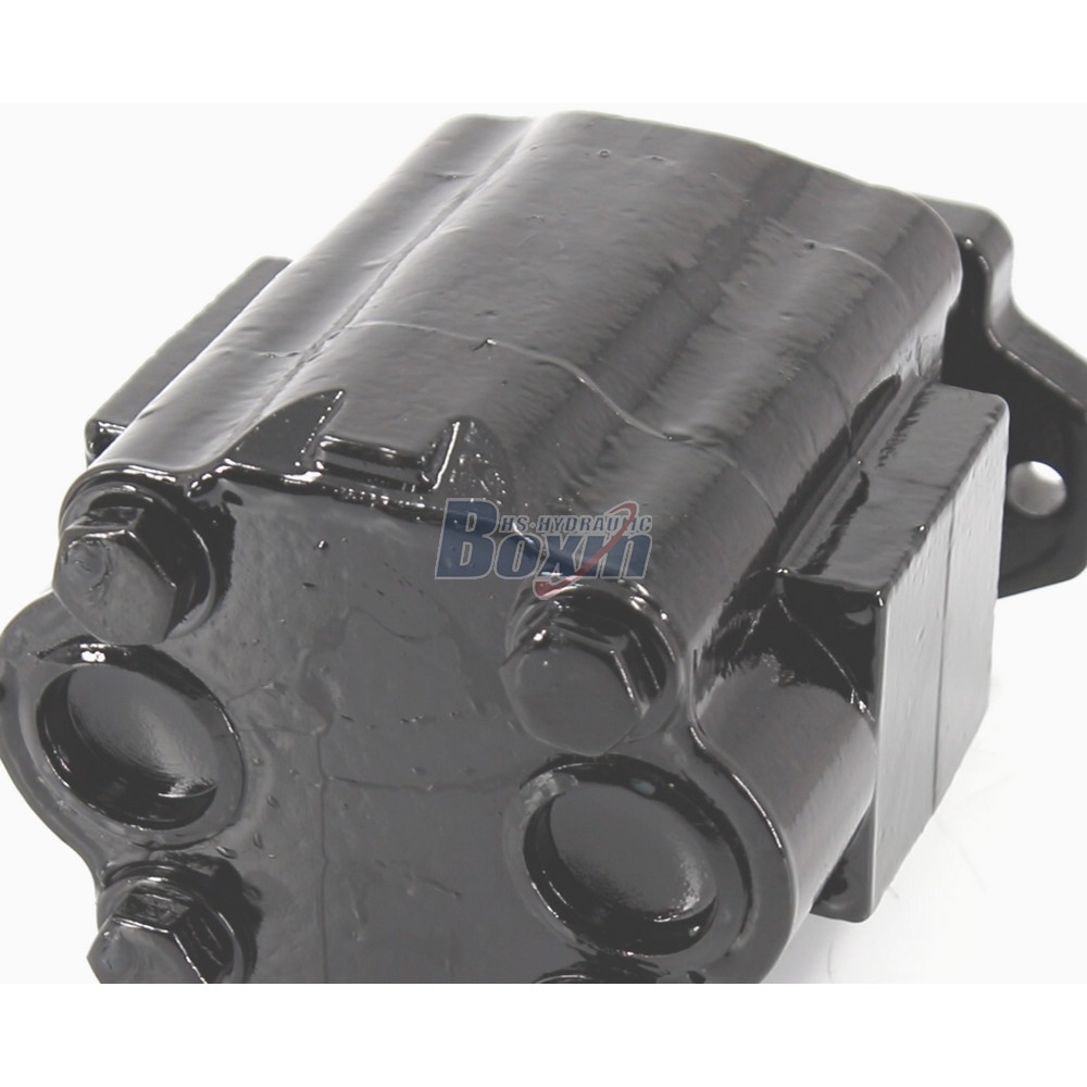Professional Production of P51A646TEYR25-25 Hydraulic Gear Pump detail image