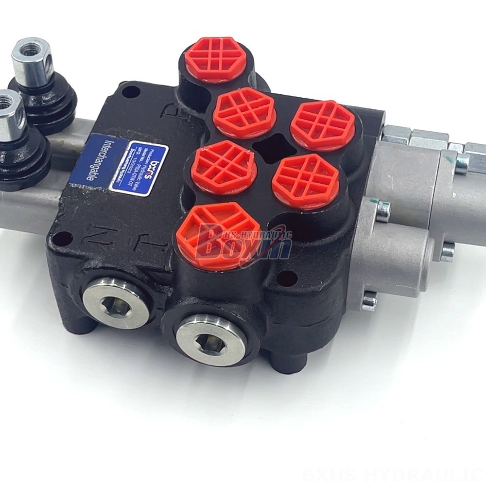 Customized Hydraulic Solutions: P80A Valve OEM Services detail image