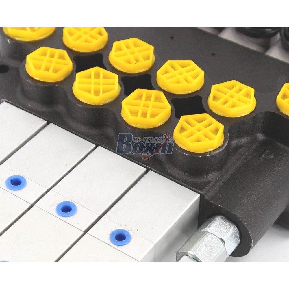 Strategic Partnership Opportunities for P80Q-G-4OT Pneumatic Directional Valve Distribution detail image