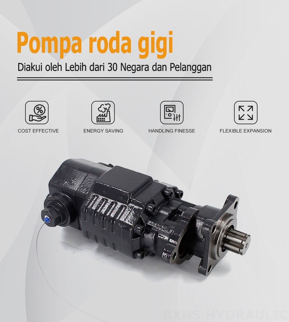 BF110A-ZF1 Perpindahan per Putaran 20 MPa (2900 psi) Pompa Roda Gigi Hidrolik