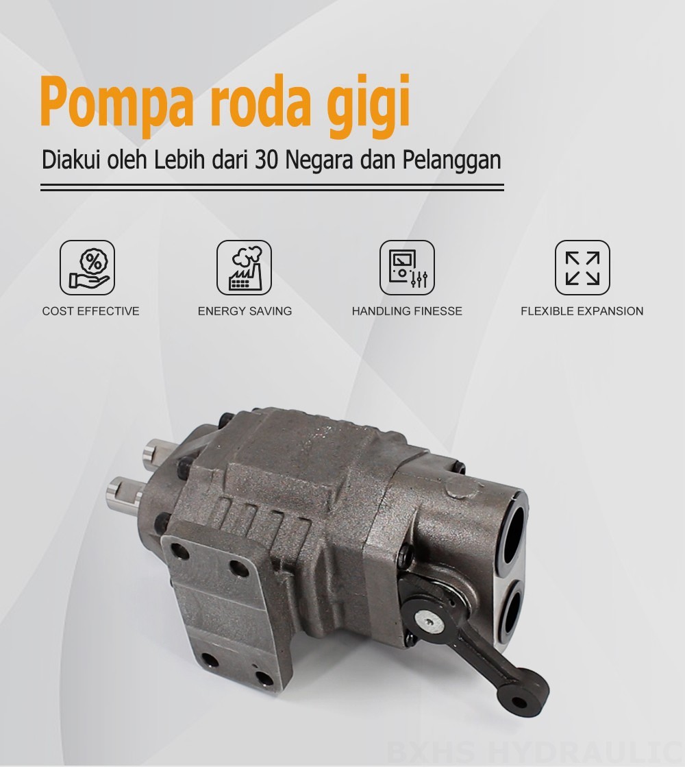 BF110M Perpindahan per Putaran 20 MPa (2900 psi) Pompa Roda Gigi Hidrolik