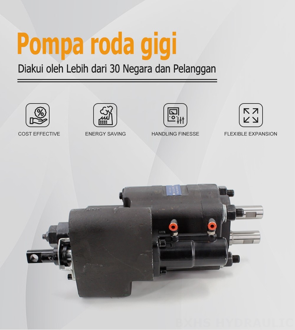 C101-25-LAS Perpindahan per Putaran Pompa Roda Gigi Hidrolik