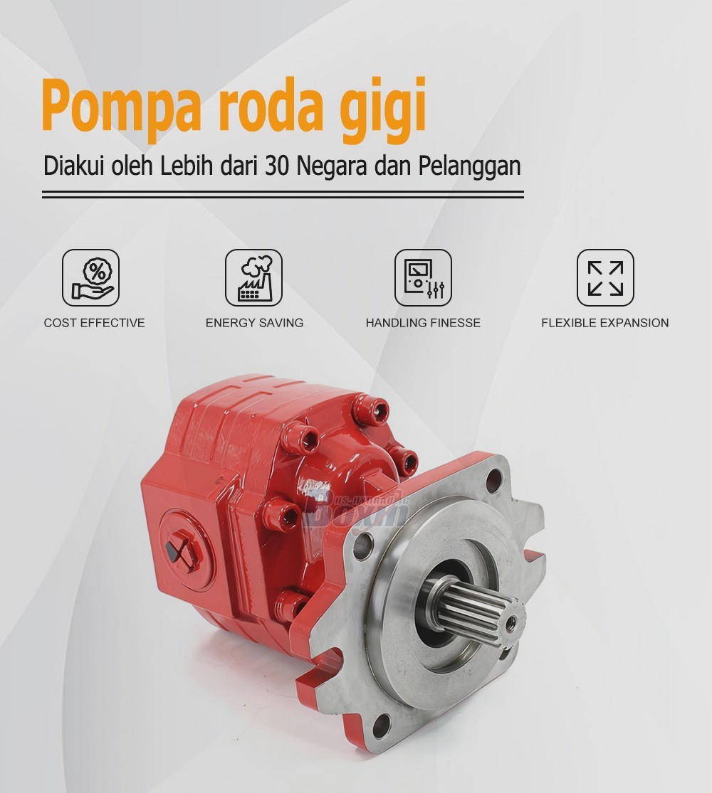 CBHS3100 100 cc/rev Hydraulic Gear Pump Unit Specification