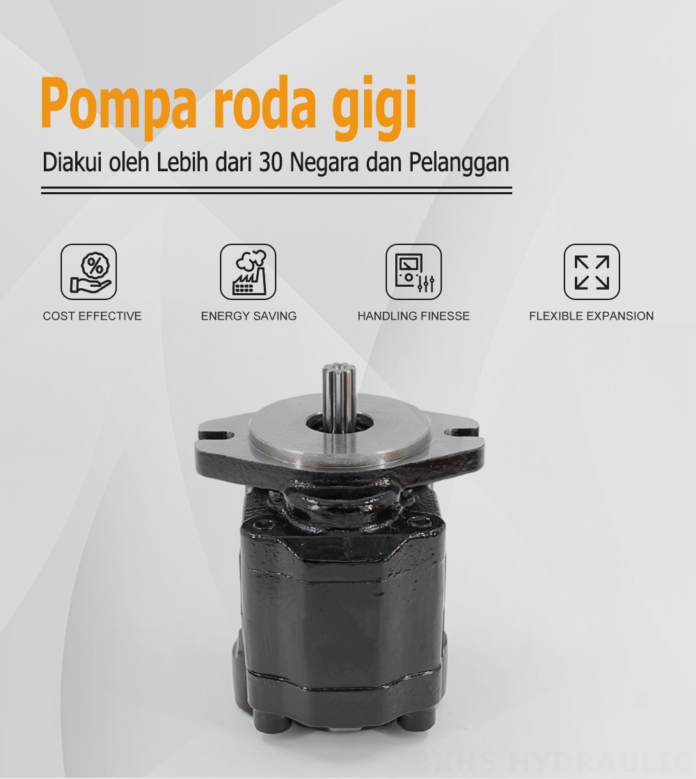 CBHZ-F20R 19,7 cc/putaran Pompa Roda Gigi Hidrolik