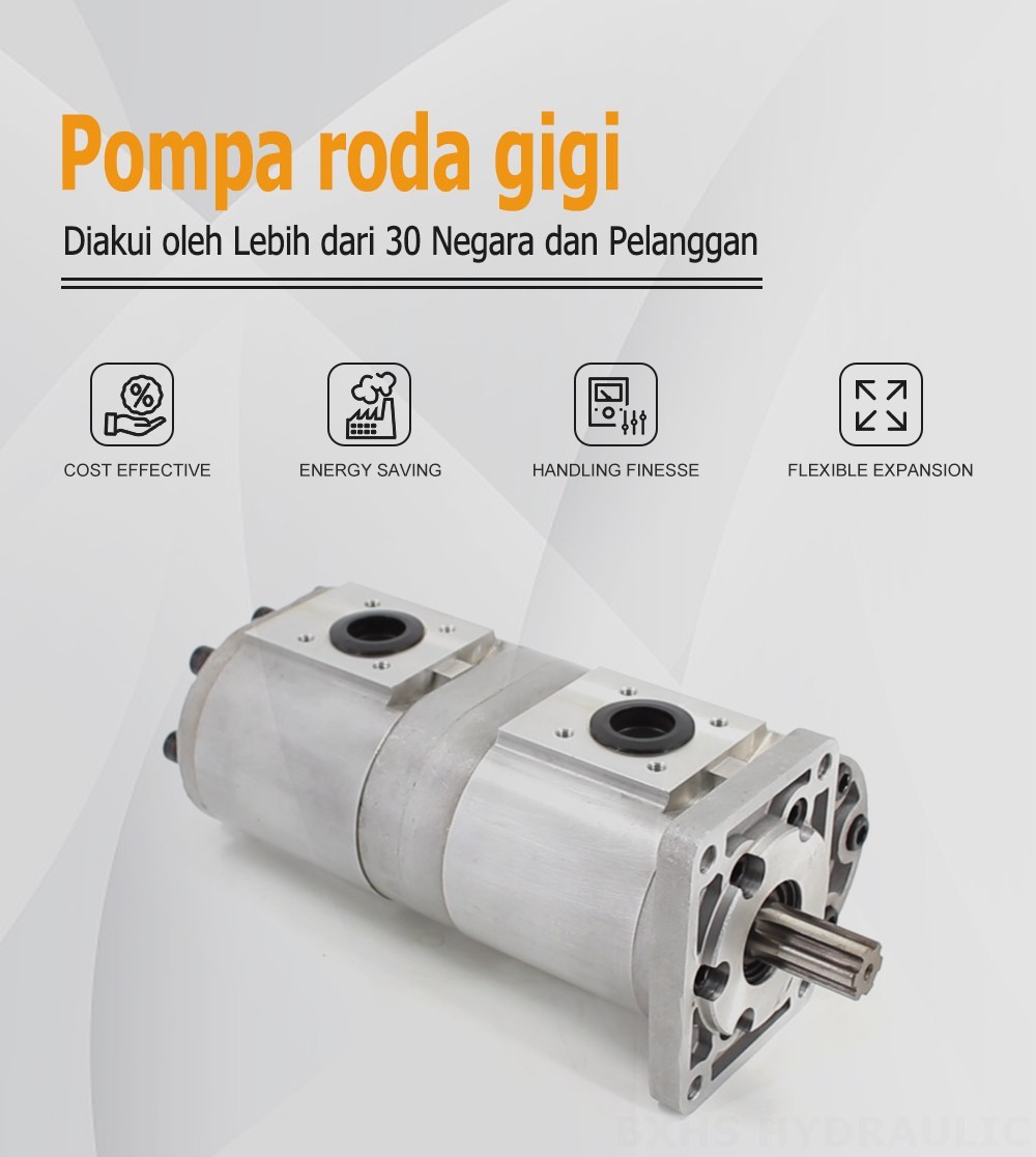 CBN-F540 40 cc/putaran Pompa Roda Gigi Hidrolik