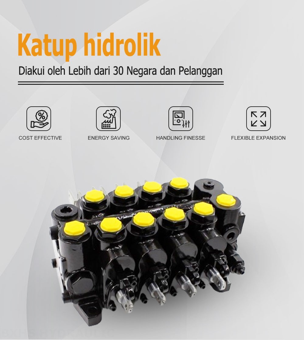 CDBF20 Buku Panduan 4 Spul Distributor Hidrolik