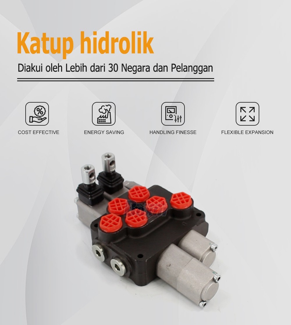 Strategic Cooperation Opportunities for DCV20 2 Spool Hydraulic Valve Distribution and Trading