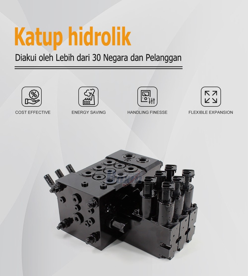 OEM/ODM Services for DCV55 Electro-hydraulic 3 Spool Sectional Directional Valve and Custom Labeling