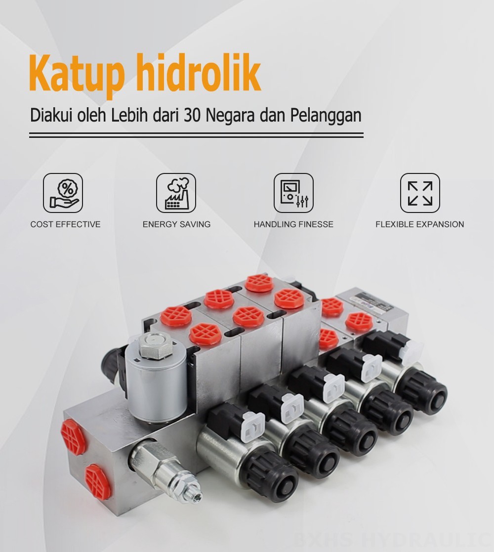 DCV56 Proporsional listrik 5 Spul Kran Arah Bagian