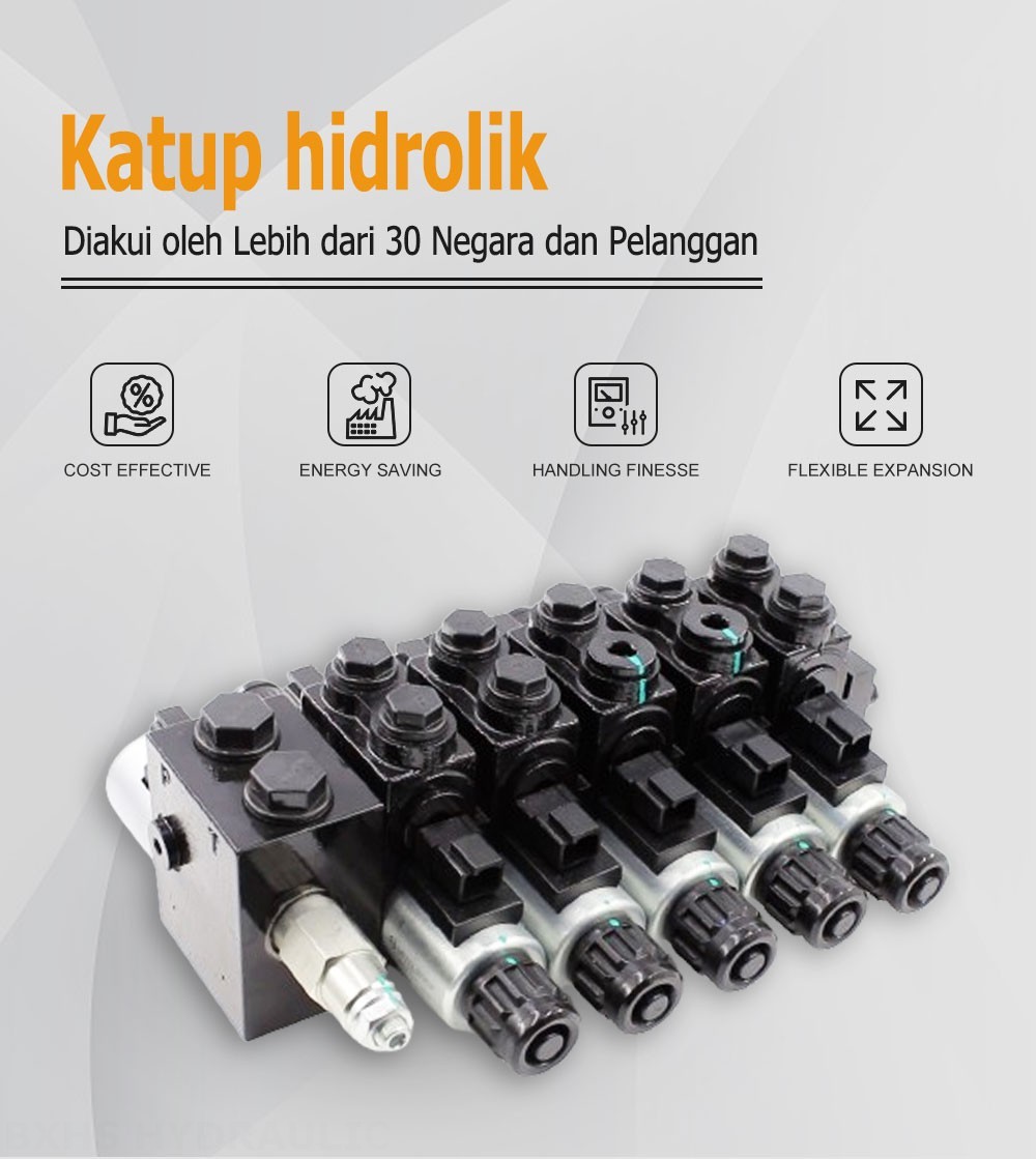 HDCF50 Selenoid 5 Spul Solenoid Kontrol Katup