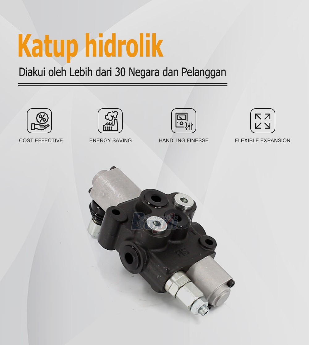 Seeking Global Distributors and Wholesalers for HS45-FZJ 1 Spool Monoblock Valve