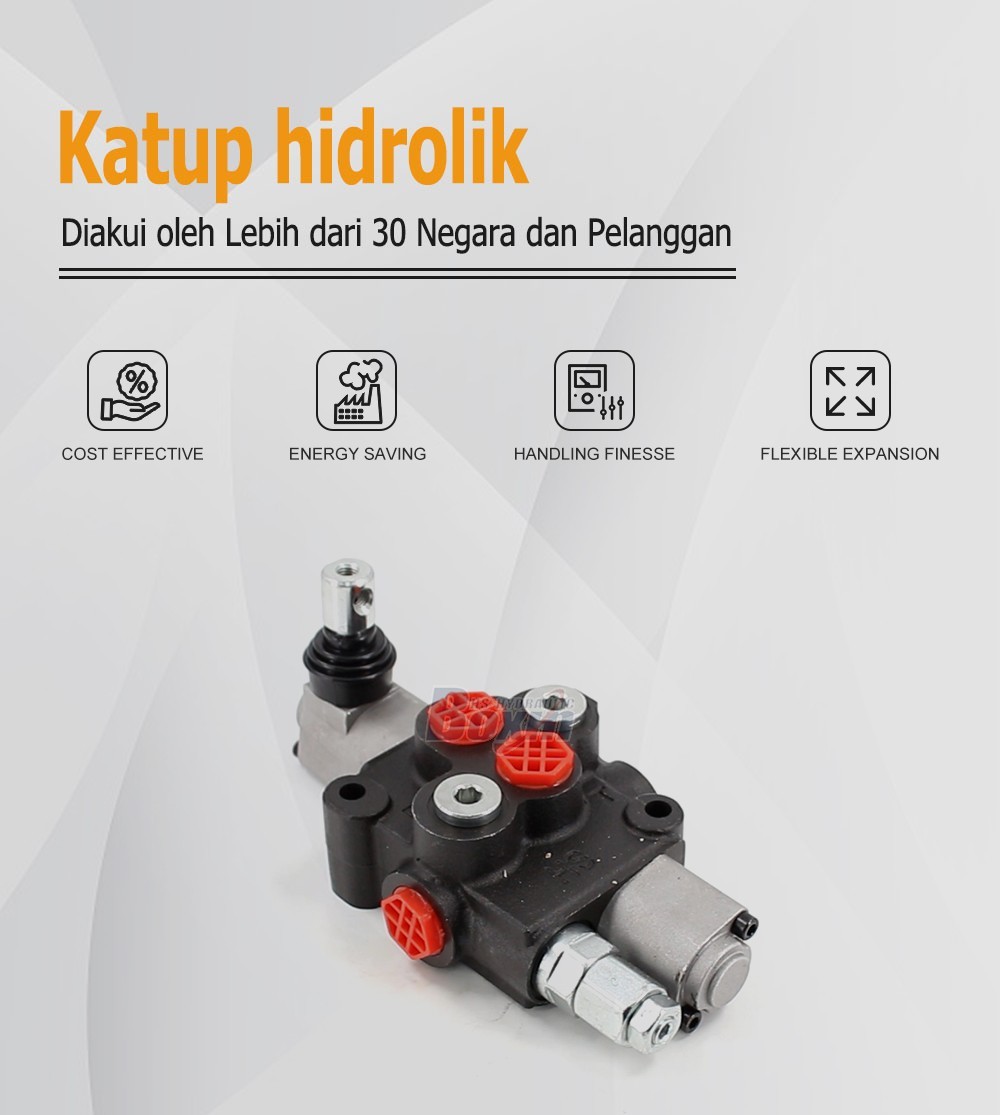 HS45 Manual 1 Spool Monoblock Valve Wholesale from Hydraulic Factory