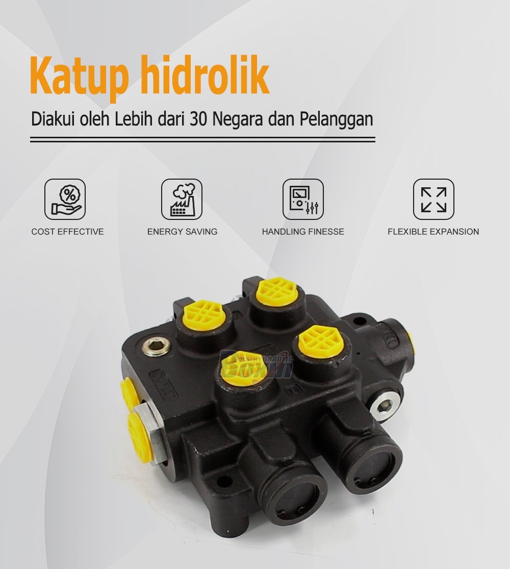 Global Partnership Opportunities for HSSP-2OT-J 2 Spool Hydraulic Valves