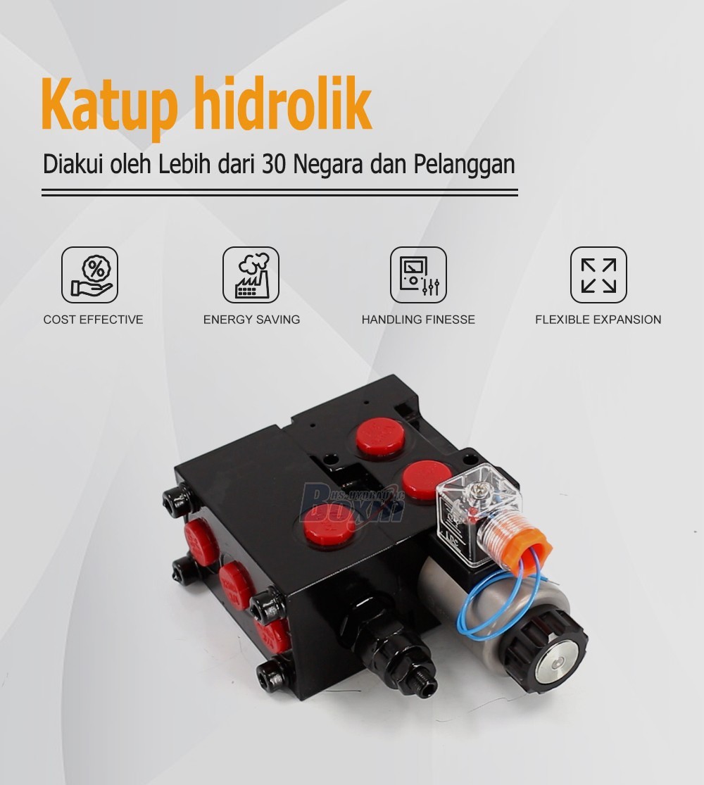 High Performance HSV06-AQF Solenoid Flow Diverter Valve 2 Spool
