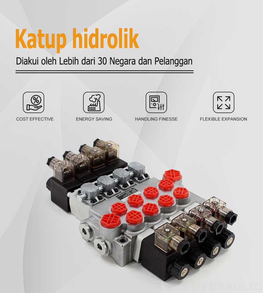 P40-DS Selenoid 4 Spul Katup Arah Monoblok