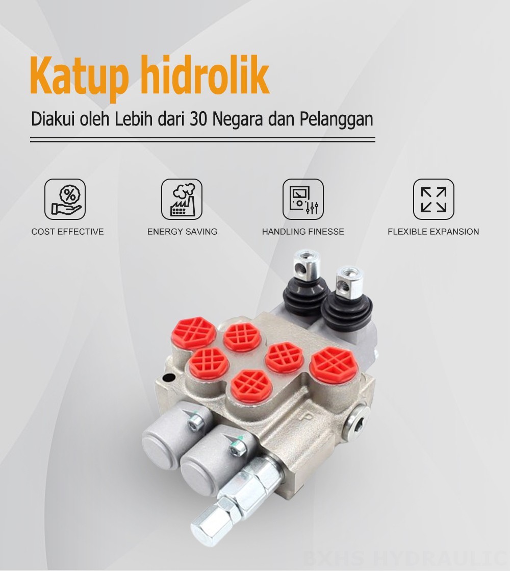 P40-XNHJ Buku Panduan 2 Spul Katup Arah Monoblok