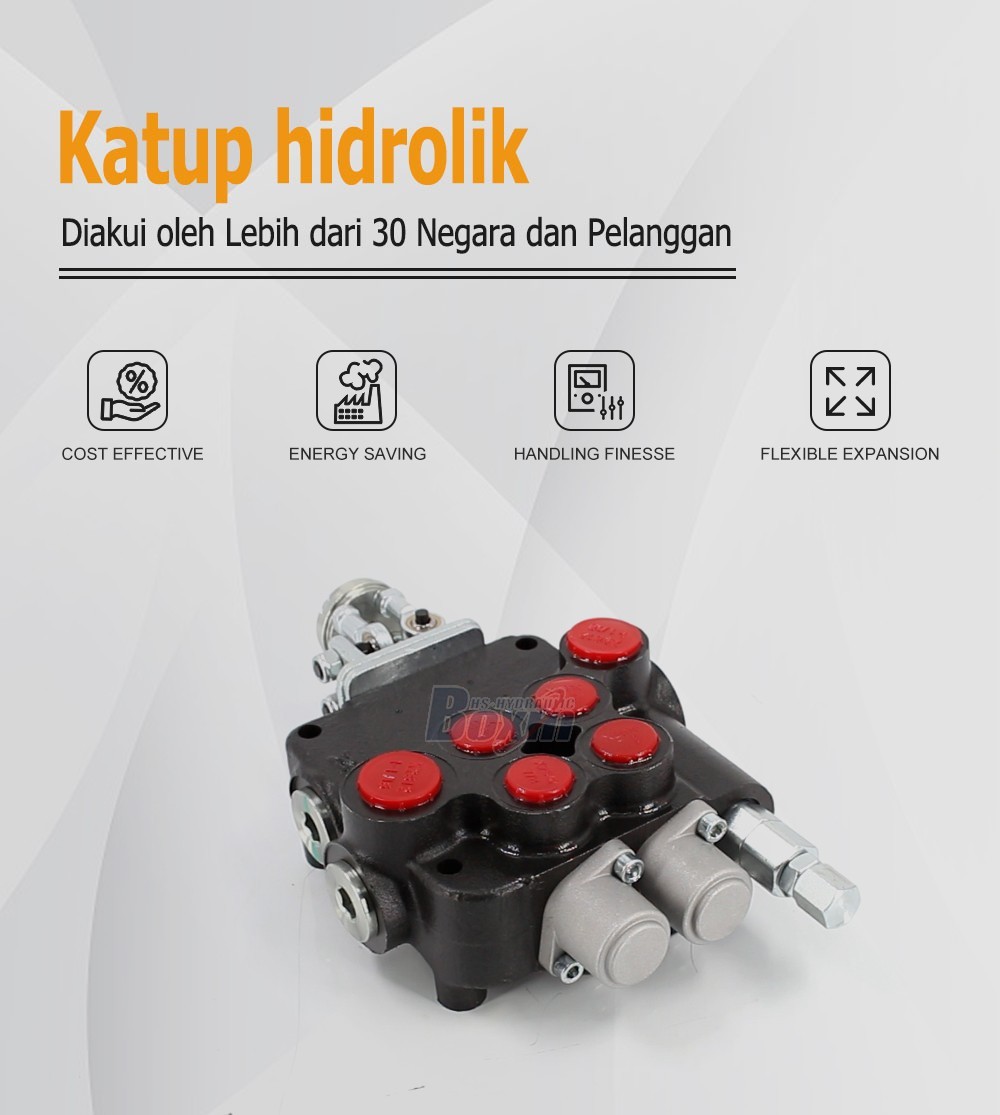 Direct From Factory P80-U1-J2OT 2 Spool Directional Valve Wholesale