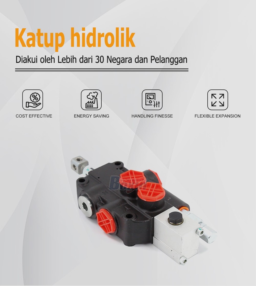 P80A-OX 1 Spool Monoblock Directional Valve for Heavy Machinery
