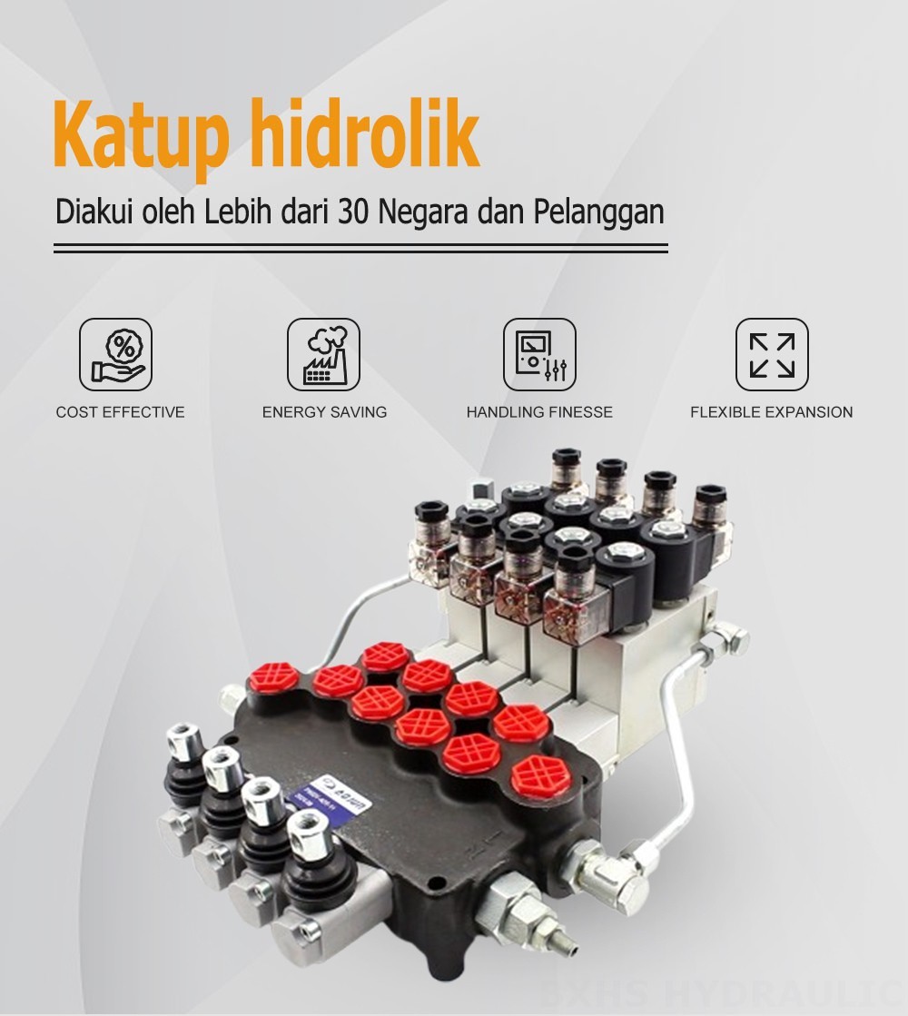 P80 Elektro-hidraulik 4 Spul Katup Arah Monoblok