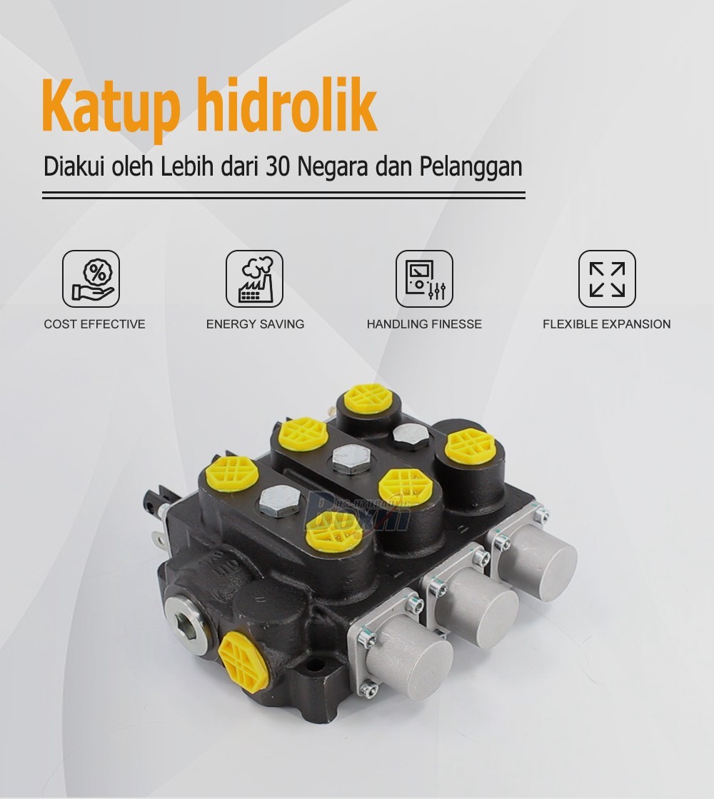 Factory Source RD5300NPT-3OT 3 Spool Manual Hydraulic Valve for Global Market