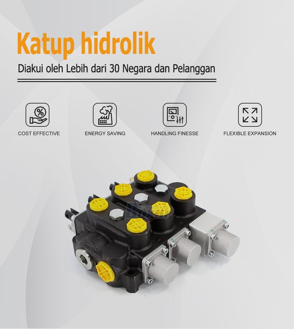 Industrial Grade RD5300NPT-QTW-2OT Manual Hydraulic Valve with 3 Spools