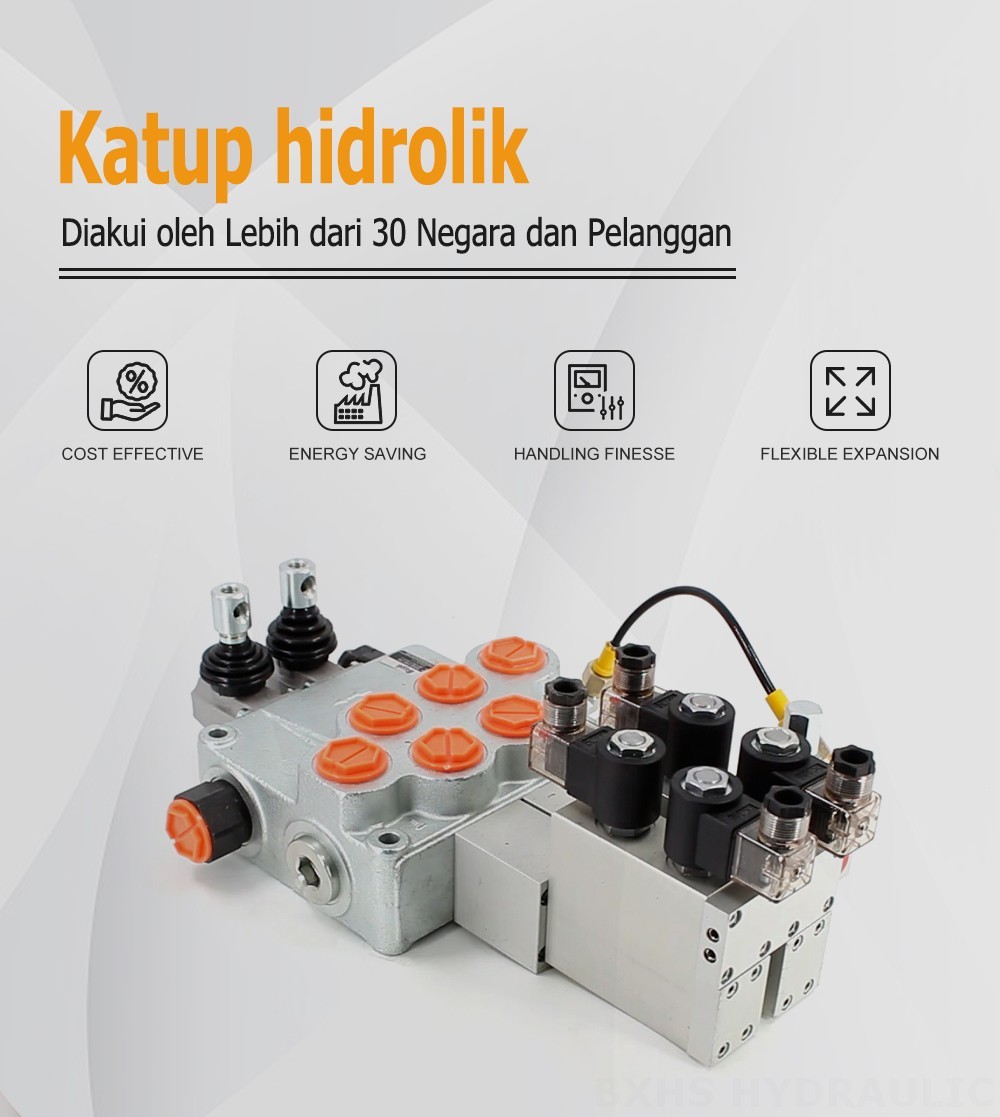 SD18 Listrik 2 Spul Katup Arah Monoblok