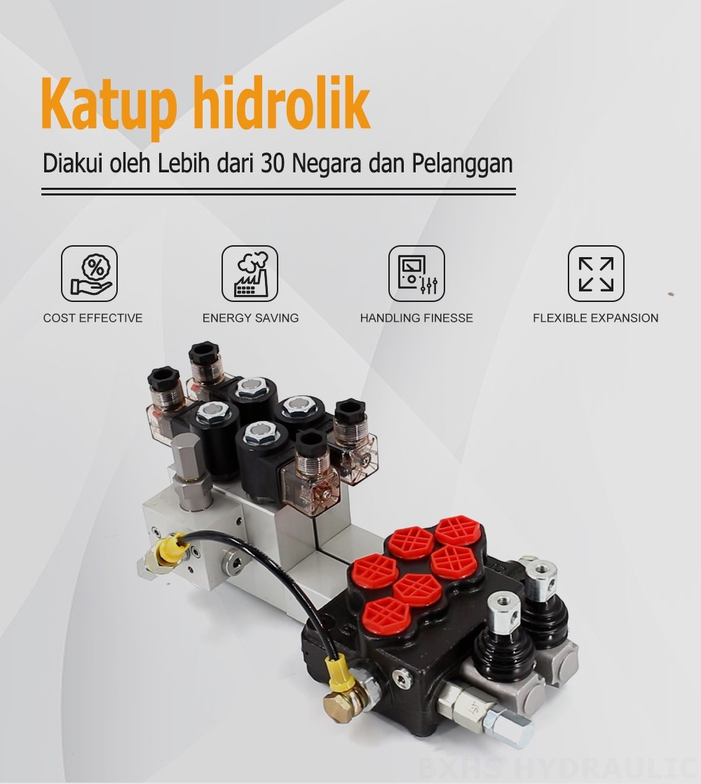 SD5 Elektro-hidraulik 2 Spul Katup Arah Monoblok