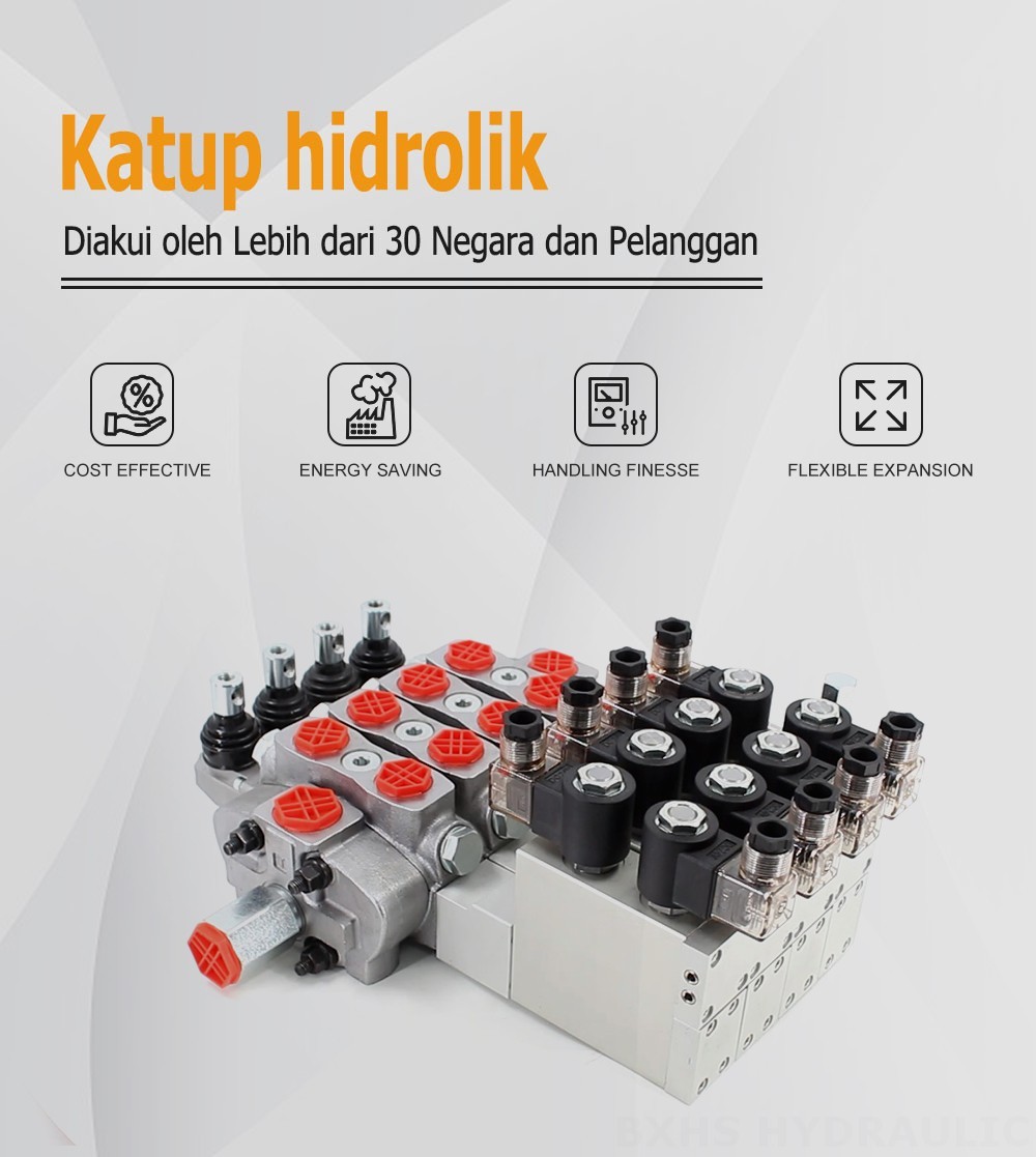 SD8 Elektro-hidraulik 4 Spul Kran Arah Bagian