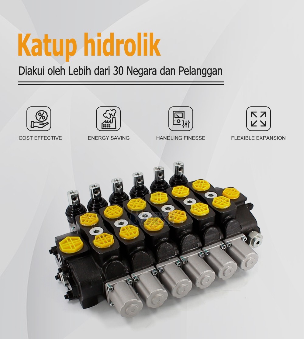 SD8 Series 6 Spool Hydraulic Sectional Control Valve