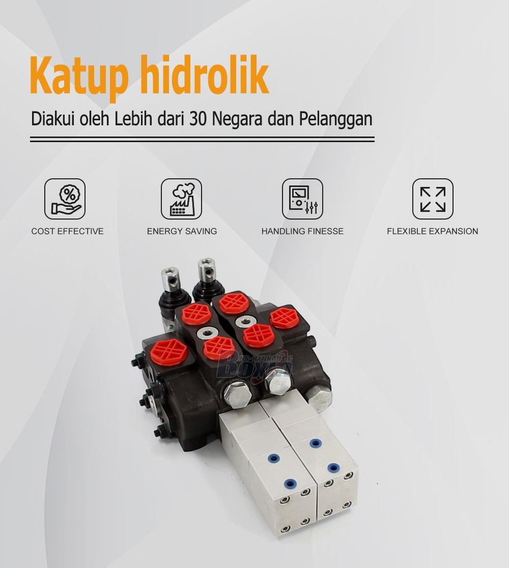 Professional Production SD8 Pneumatic 2 Spool Sectional Control Valve