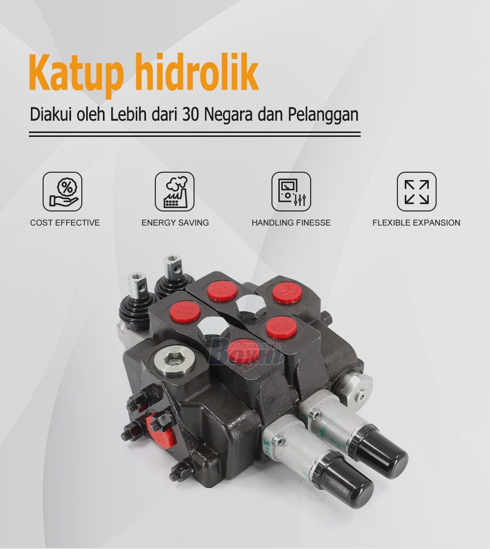 SDS180T-2CB-OT Manual 2 Spool Sectional Directional Valve for Hydraulic Systems