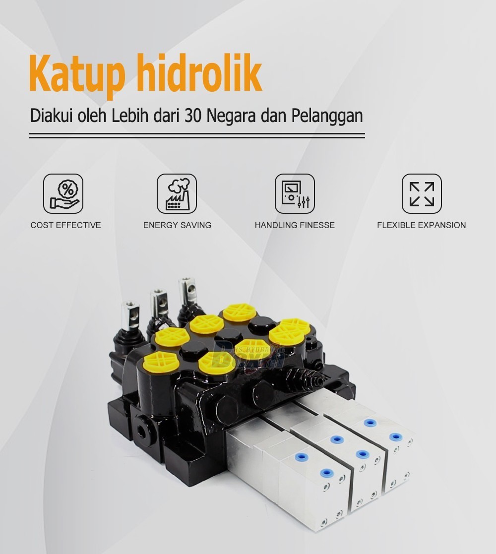 OEM and Private Label Services for WZF-125 3 Spool Monoblock Valves